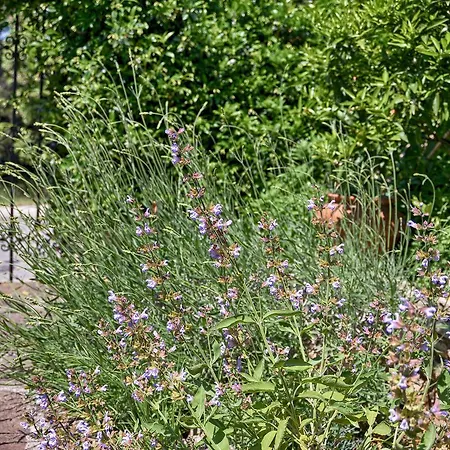 Appartement Vesna 1642 Pula