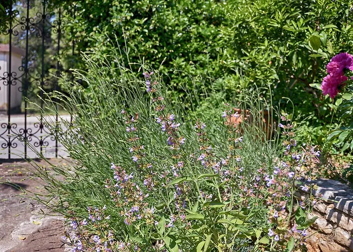 דירה Vesna 1642 פולה